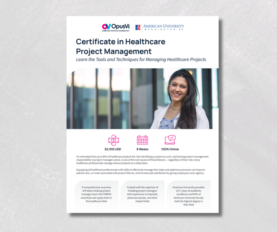 Healthcare Project Management Flyer Image